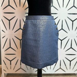 Banana Republic Heritage Blue Shimmery Skirt with Gold Buttons Size 2